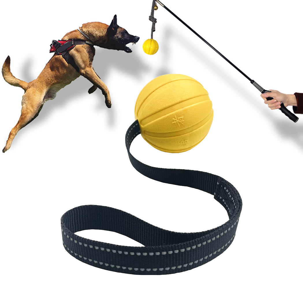 Dog Toy Balls On a Rope for Small Medium Large Dogs