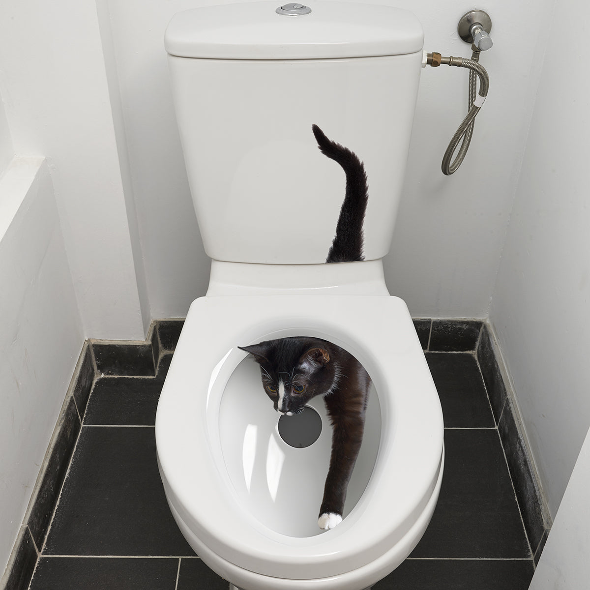 1PC Naughty Little Cat Toilet Wall Stickers Bathroom Decoration