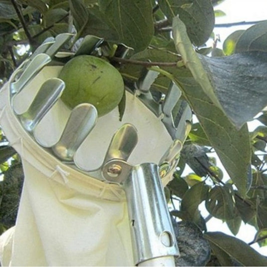 Metal Fruit Picker For Apple Orchard Gardening
