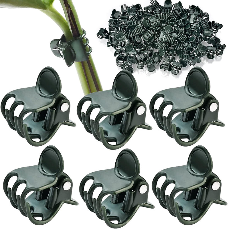 6-Claw Dark Green Plant Clips