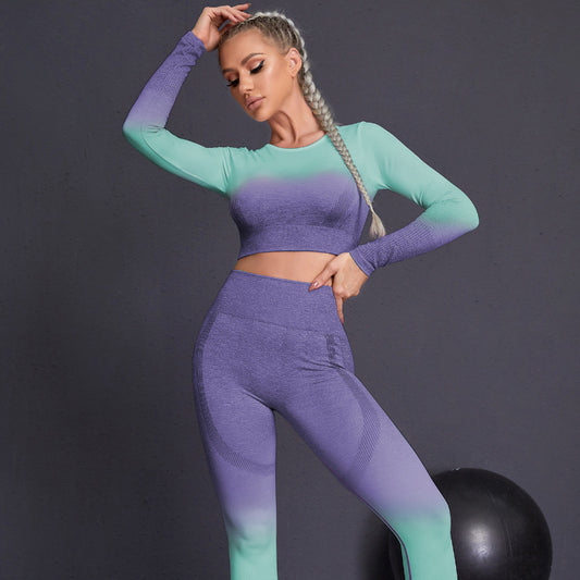 Seamless Yoga Sets Sports Fitnes High Waist Hip Raise Pants Long-Sleeved