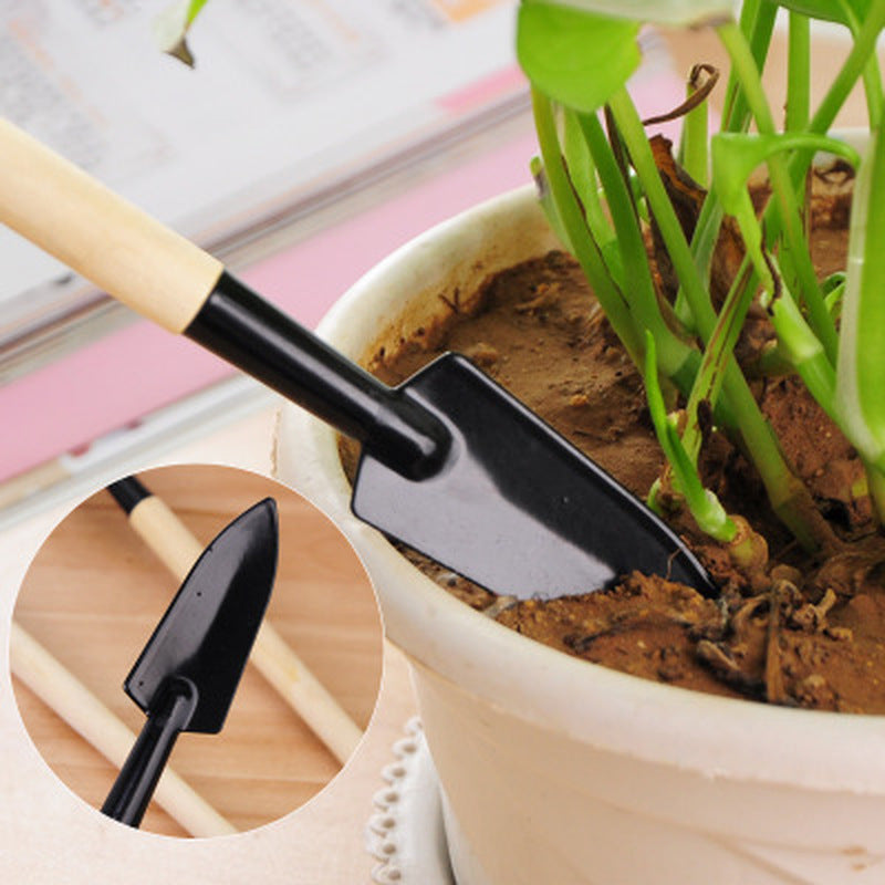 3 Pcs Plant Potted Bonsai Tool Gardening Kit Shovel