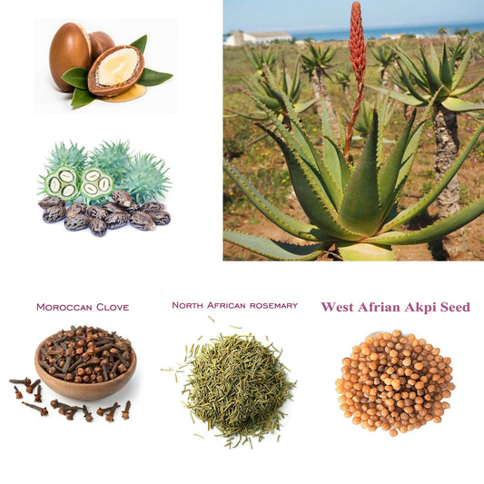 110 ml African Rosemary& Cloves Hot Oil