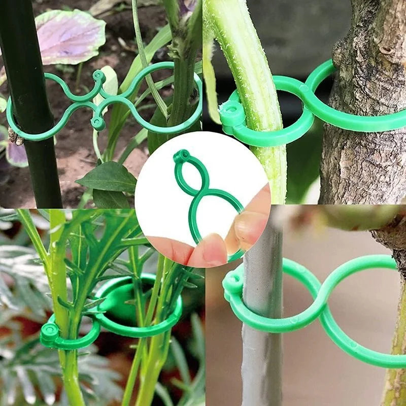 Garden Plant Clips For Vegetable Growing Upright Plant Holder