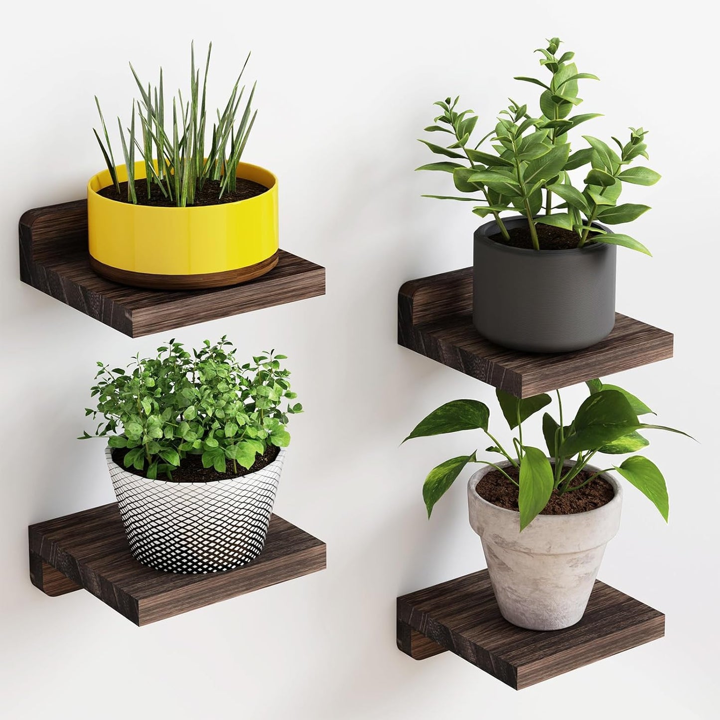 4-Pack Small Floating Shelves for Wall