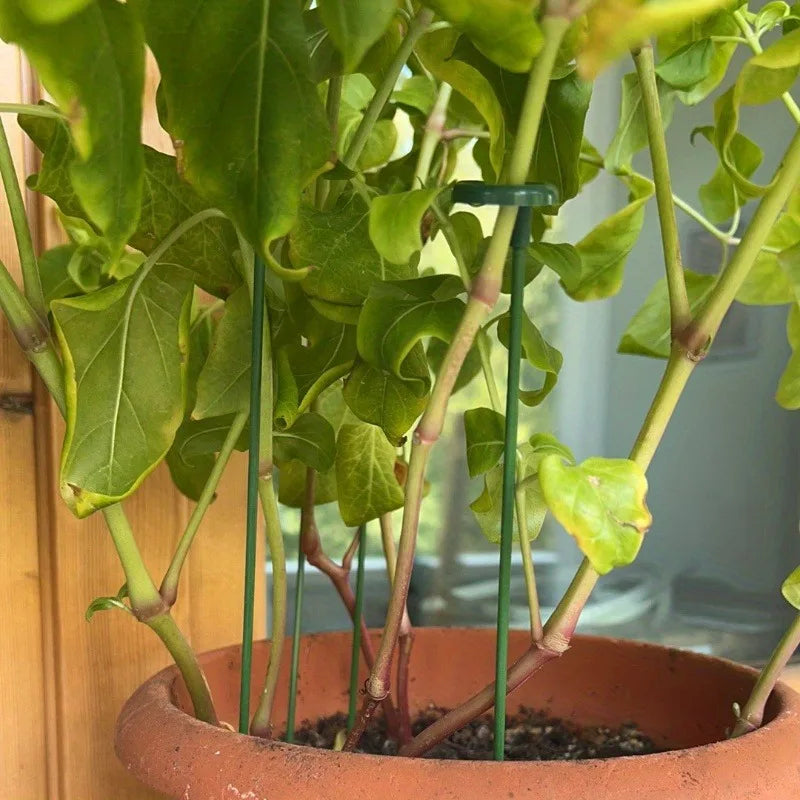 10pcs Potted Plant Support Racks Durable Floral Climbing Stands