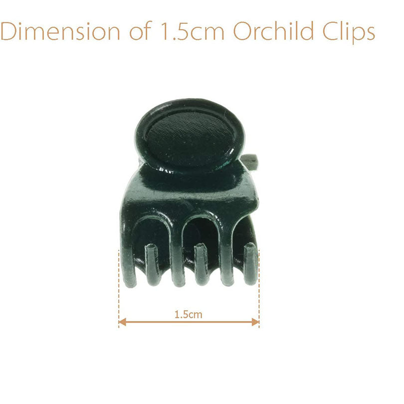 6-Claw Dark Green Plant Clips