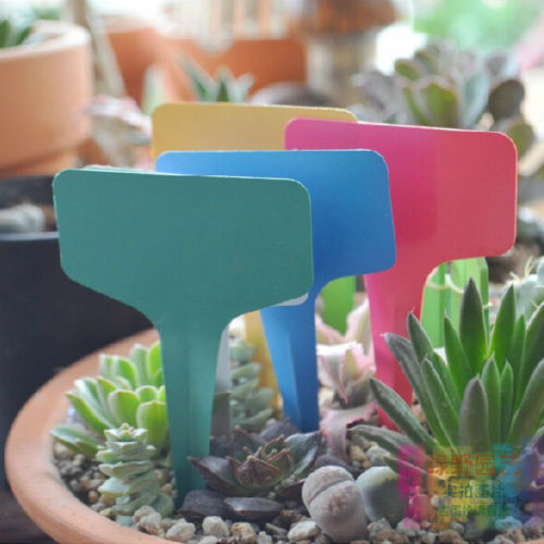 100pcs White Plastic PVC Plant T-type Tags Markers