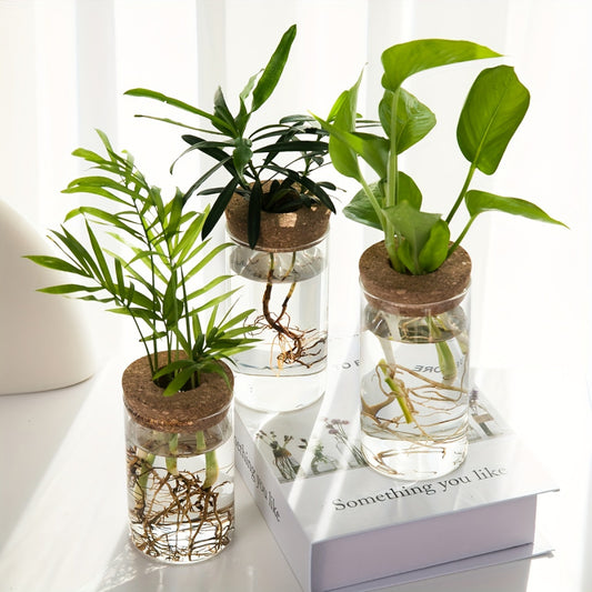 Hydroponics Plants Desktop Glass Planter Vase