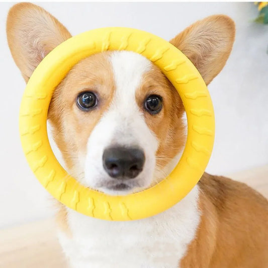 Round Ring Dog Toys Anti-Bite Flying Floating