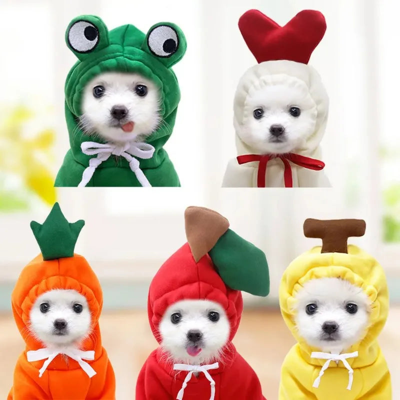 Pet Clothes Dog Hoodies Clothing For Small Dog Coat Jacket Puppy