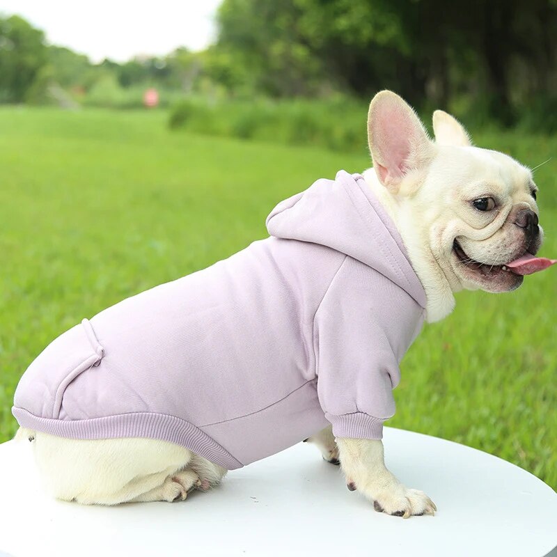 Fashion Dog Clothing Autumn And Winter Small Pet Clothes