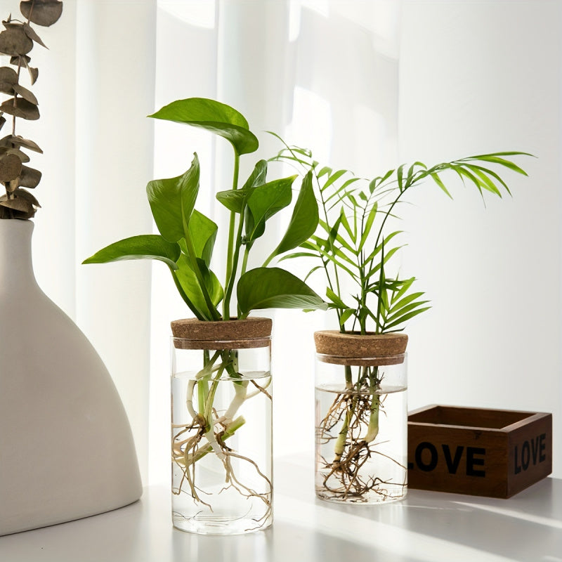 Hydroponics Plants Desktop Glass Planter Vase