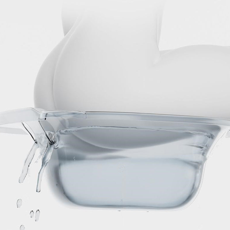 Home Toilet Bidet Female Private Parts Special Washing Buttocks