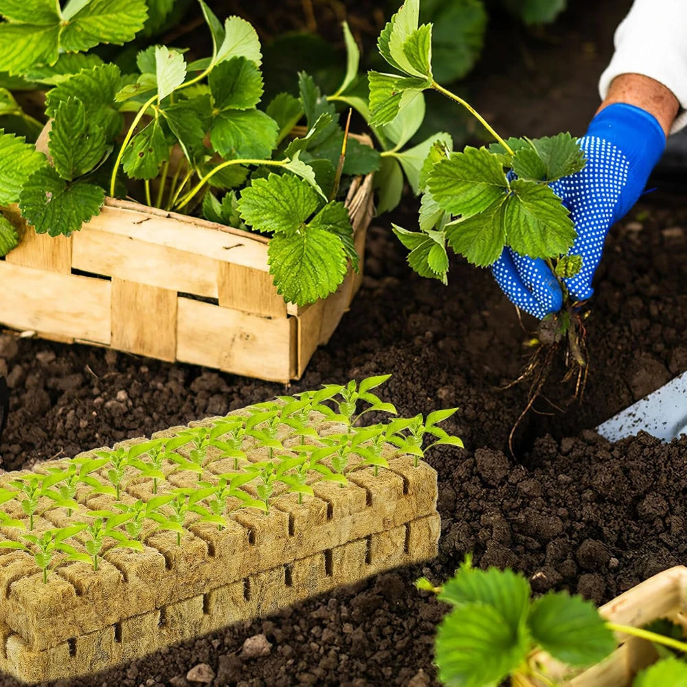 Seedling Grow Cubes Vegetable Planting Cube