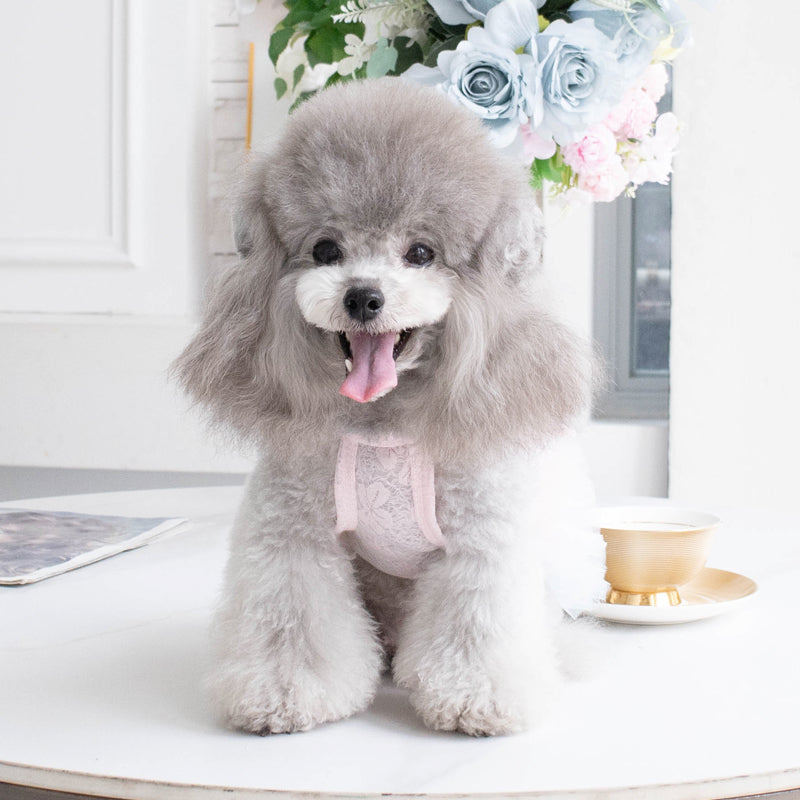 Dog Clothes Dog Skirt Puppy Spring Clothes Summer Clothes Small Dog