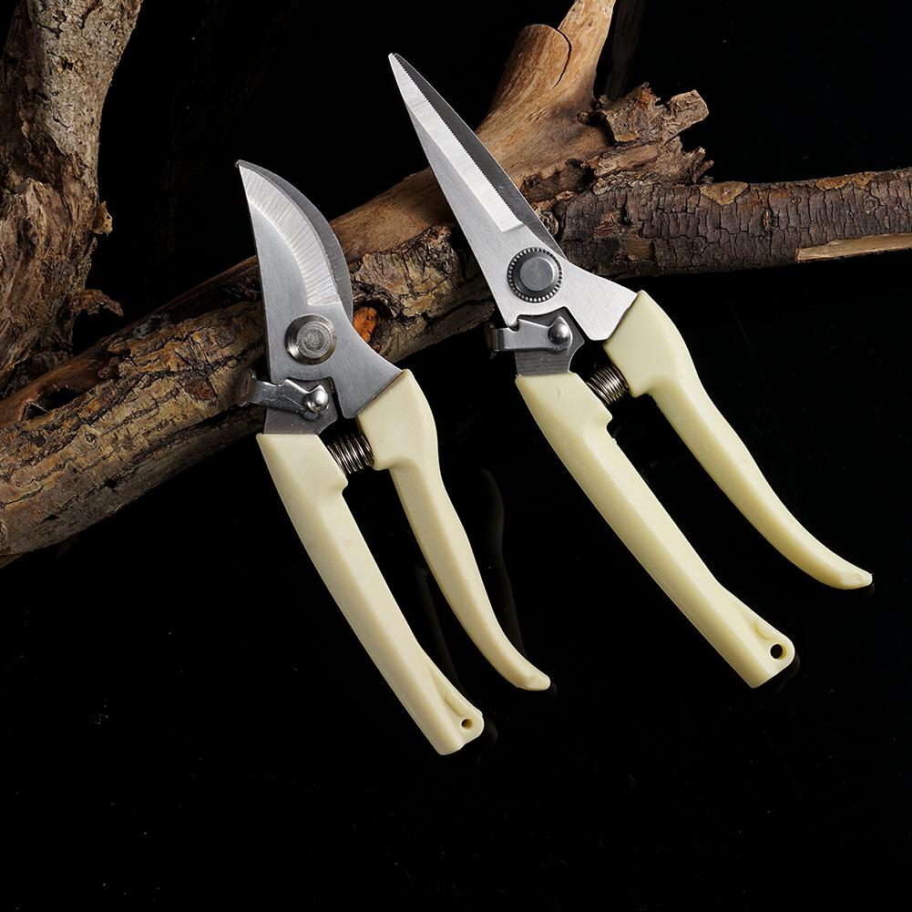Pruning Garden Scissors Professional Outdoor Gardening