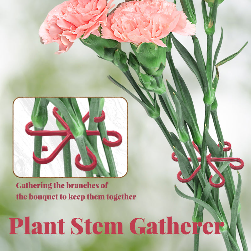 4PCS Reusable Plant Stem Folding Frame
