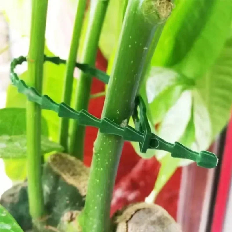 Reusable Garden Cable Ties Plant Vine Tree Shrubs Support