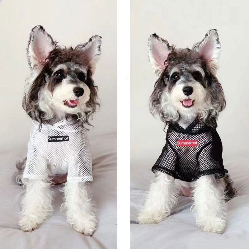 Summer Hot All Season Mesh Dog Hoodie