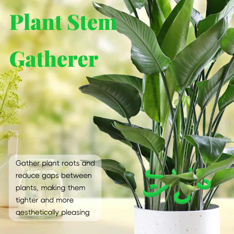 4PCS Reusable Plant Stem Folding Frame