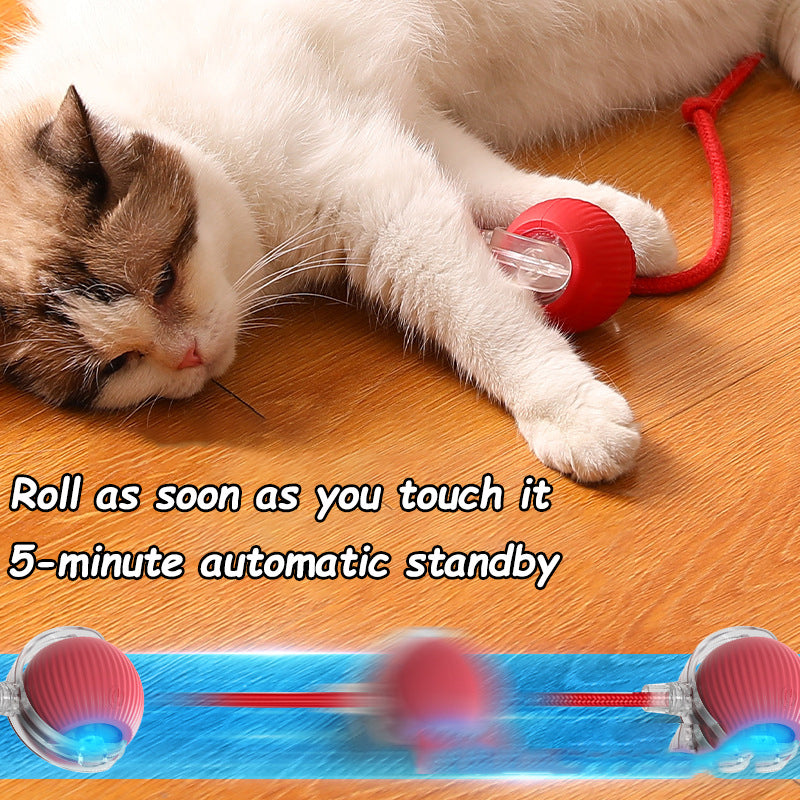 Cat Interactive Ball Toys Automatic Rolling Ball Faux Tail Rechargeable