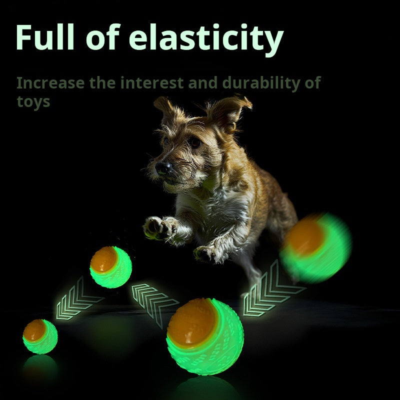 Dog Bounce Ball Toy Squeak Pet Toy Resistant Ball Pet Training Ball