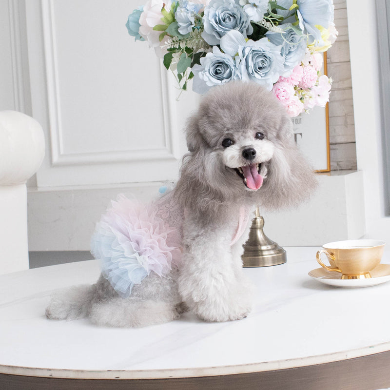 Dog Clothes Dog Skirt Puppy Spring Clothes Summer Clothes Small Dog