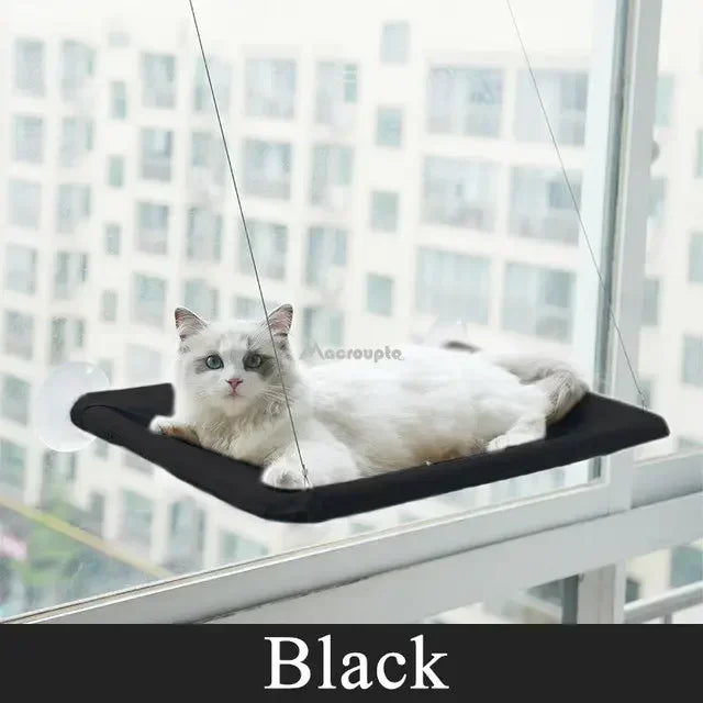 Hanging Cat Bed Pet Cat Hammock Aerial Cats Bed House Kitten Climbing
