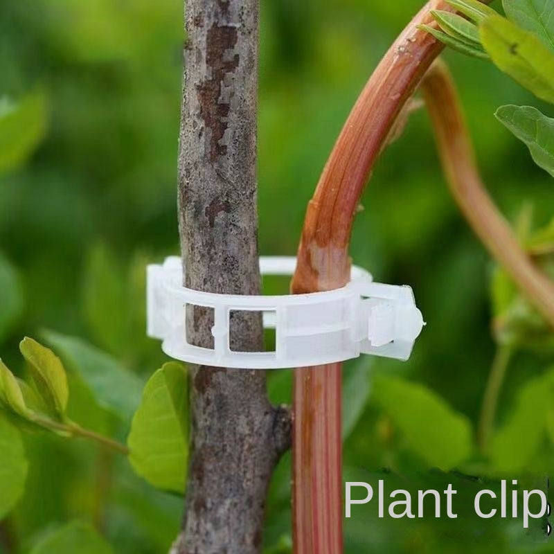 Plant Support Clips Reusable Plastic Plant Vine Protection Grafting Fixing Tool