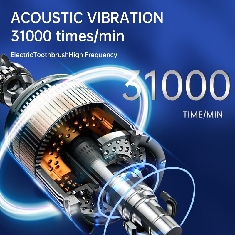 Male and Female Electric Toothbrush Hollow Cup