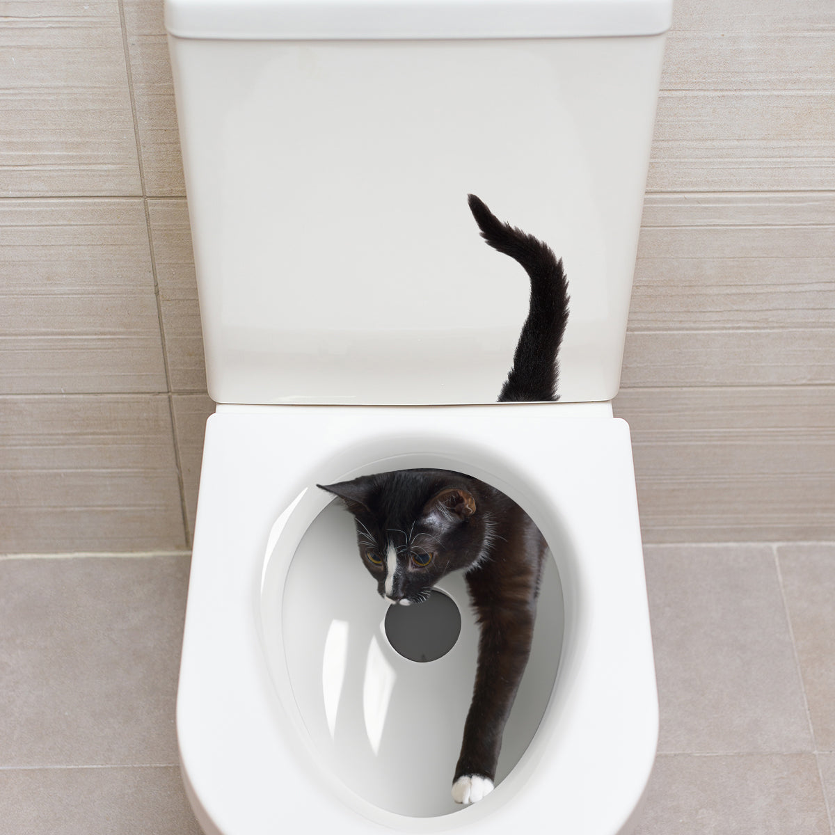 1PC Naughty Little Cat Toilet Wall Stickers Bathroom Decoration