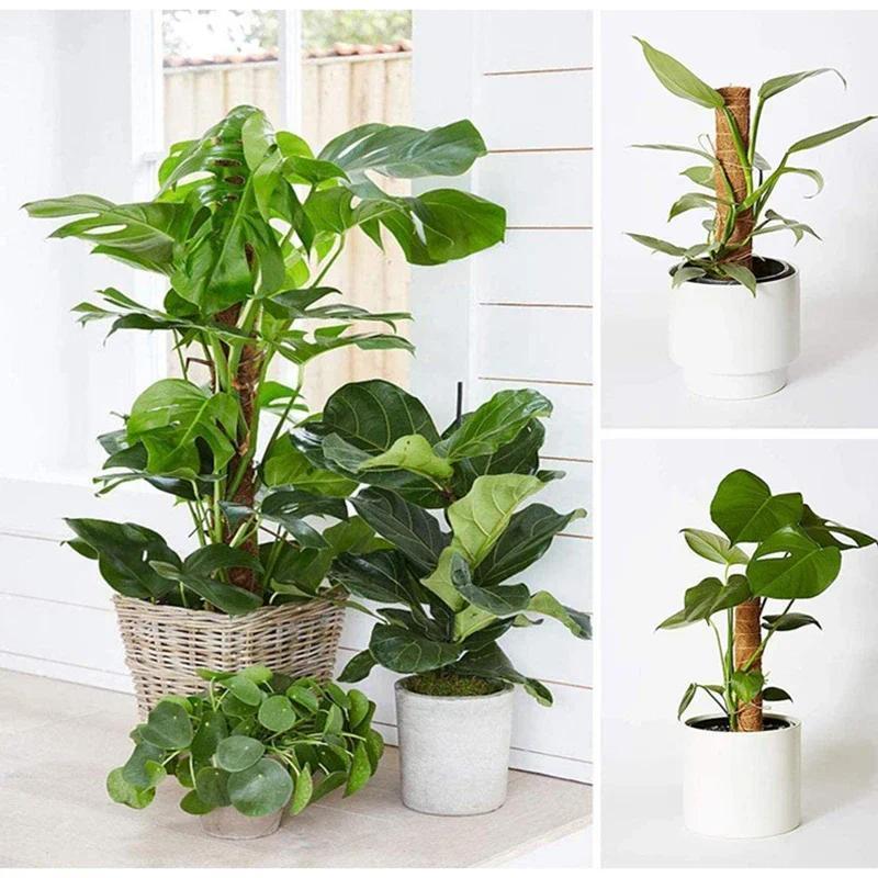 30cm Plant Climbing Coir Totem Pole Safe Gardening