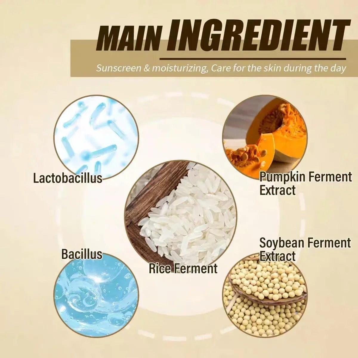 Sunscreen Korean Rice Probiotic Solar Blocker Skin Whitening Cream