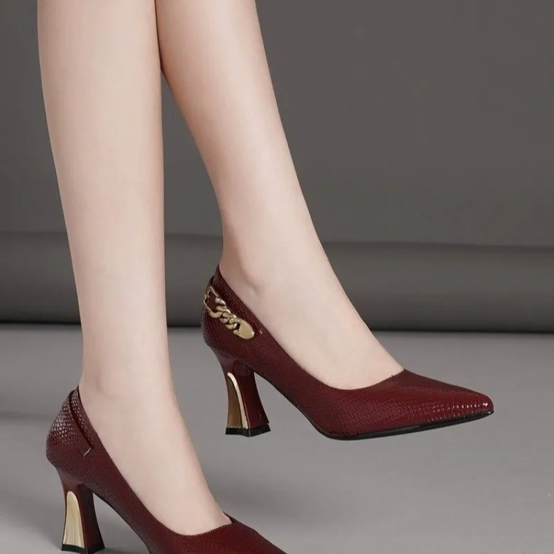 Basic Wine Snakeskin Leather Women Shoes Stiletto High Heels