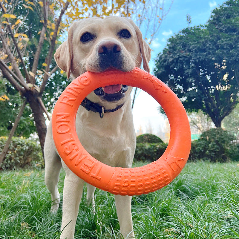1pc Orange Dog Toys Pet Flying Disk Training Ring Puller