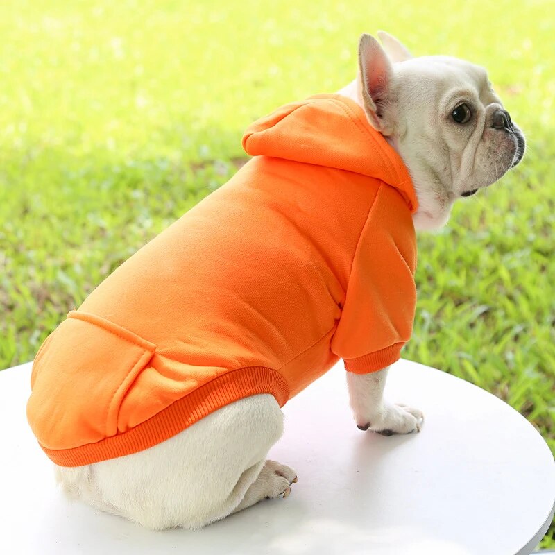 Fashion Dog Clothing Autumn And Winter Small Pet Clothes