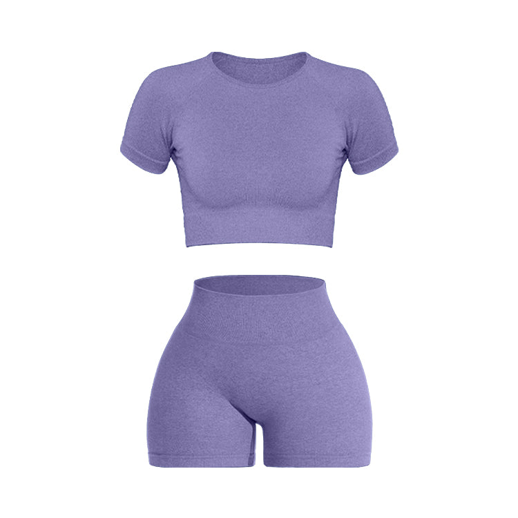 2PCS Women's Sports Yoga Set Seamless Ribbed Knitted Fitness Sportswear