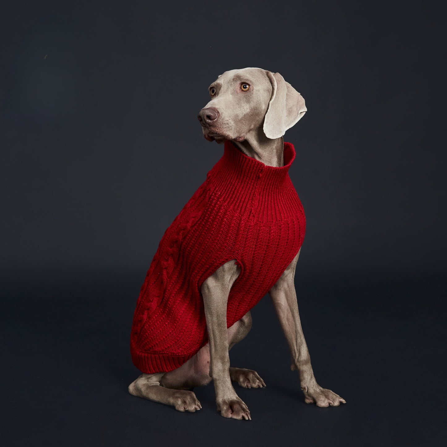 Cozy Knitted Pet Sweater for Winter - Keep Your Dog