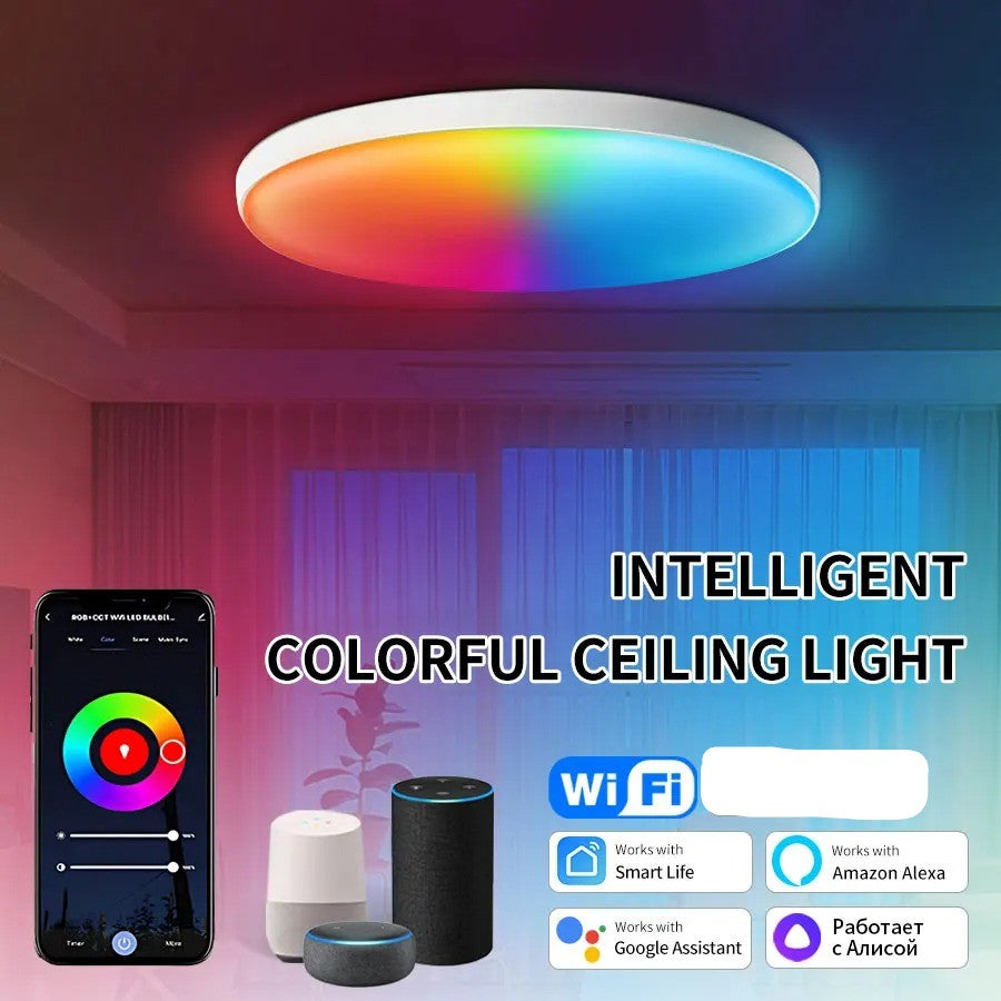 Ceiling Light 24W 220V RGB Circular Ambient Lamp