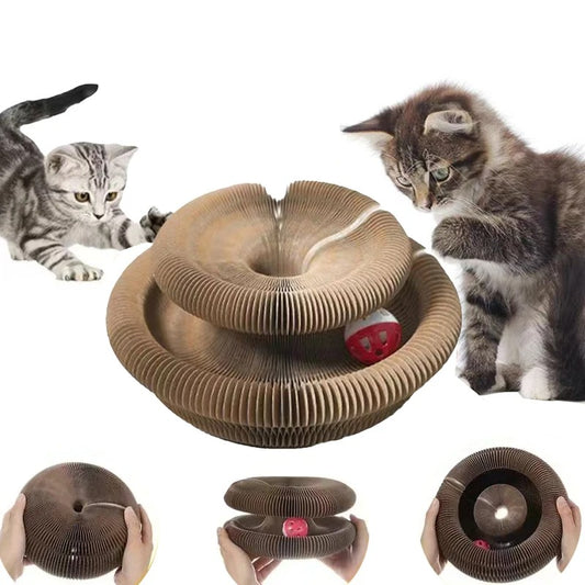 Magic Cat Toy Interactive Cats Ball Toys Kitten