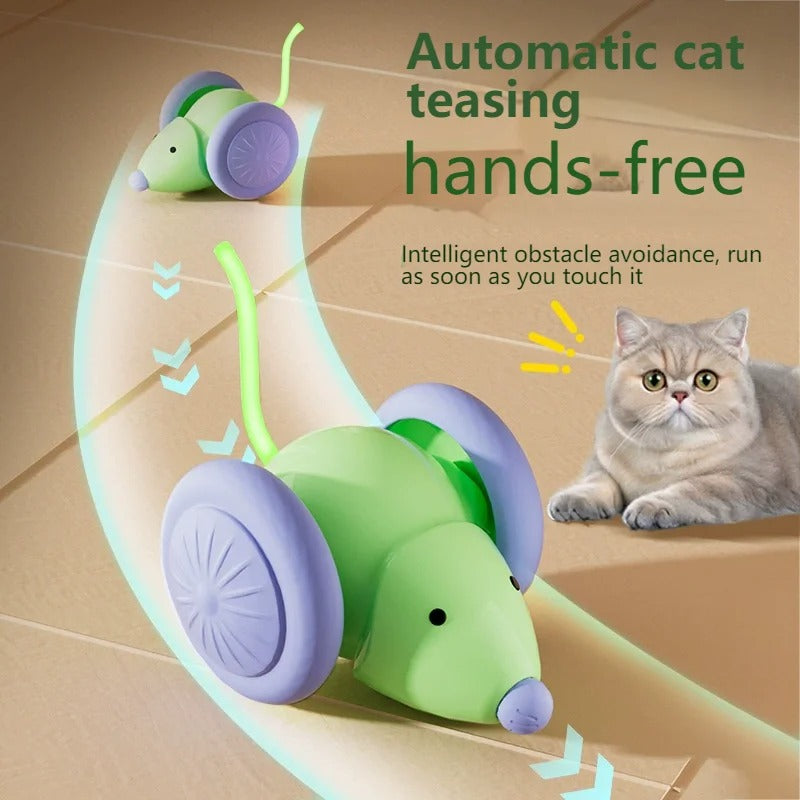 Pet toys Interactive Cat Toy Electric Mouse Car