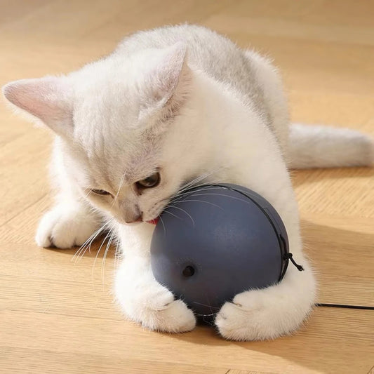Automatic Intelligent Cat Toy Interactive