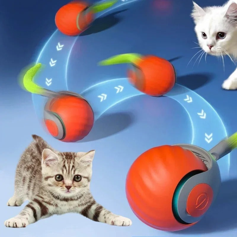 Smart Cats Toy Ball Electric Ball for Cats With Feather Teaser
