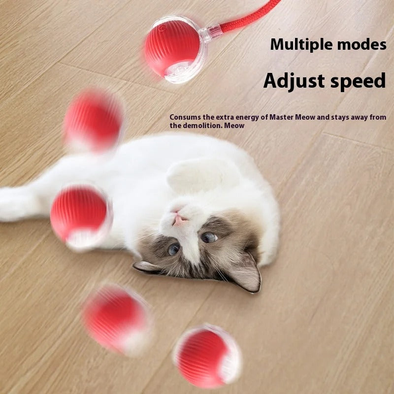Rechargeable Cat Toys Interactive Smart Pet Interaction Automatic