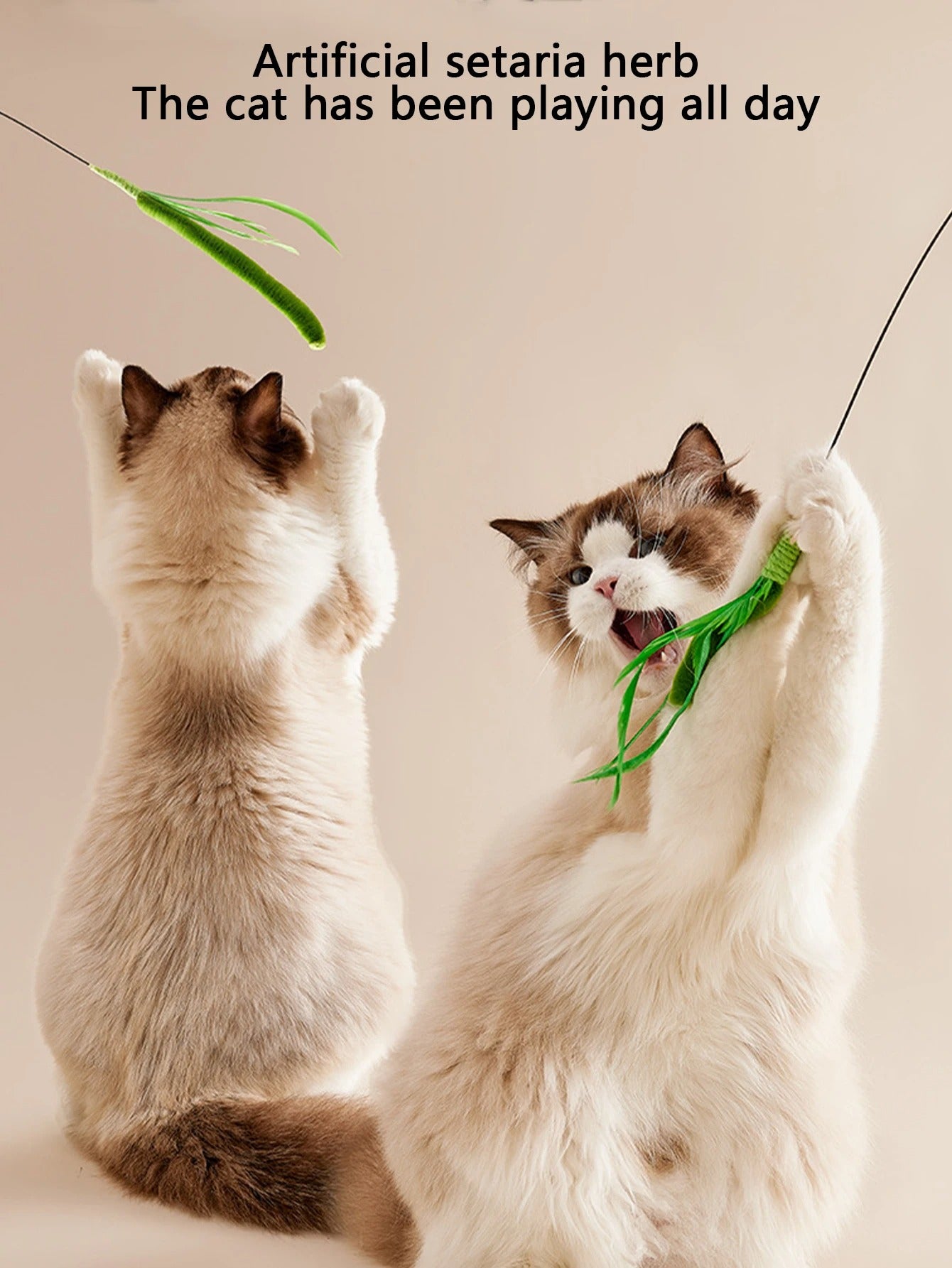 Cat Teasing Stick Bite Resistant Long Pole Cat Toy