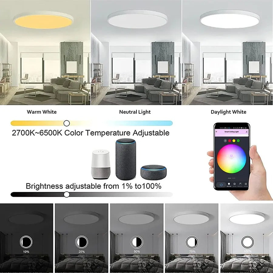Ceiling Light 24W 220V RGB Circular Ambient Lamp