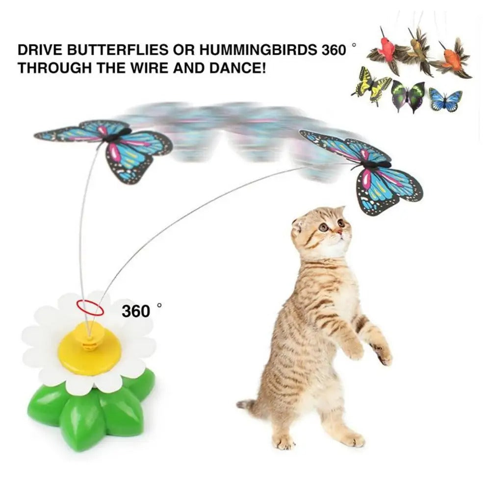 Rotating Electric Butterfly For Cats