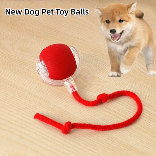Interactive Dog Toys Rechargeable Pet Interactive Toys Electric Cats Ball