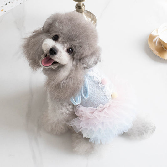 Dog Clothes Dog Skirt Puppy Spring Clothes Summer Clothes Small Dog